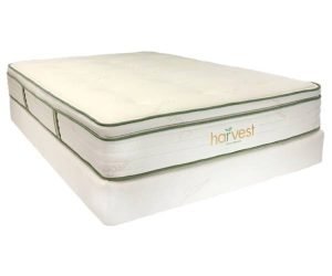 happysleeper-harvest eurotop-icon