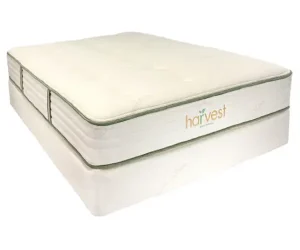 happysleeper harvest plush